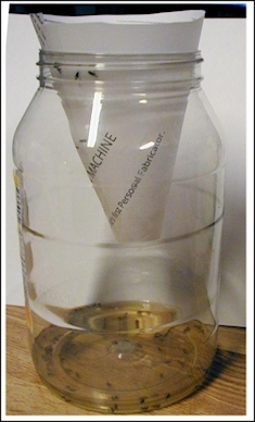 Fruit Fly Trap